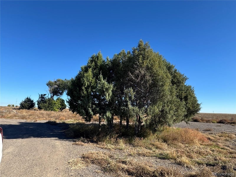 Weld County 49, Hudson, CO 80642
