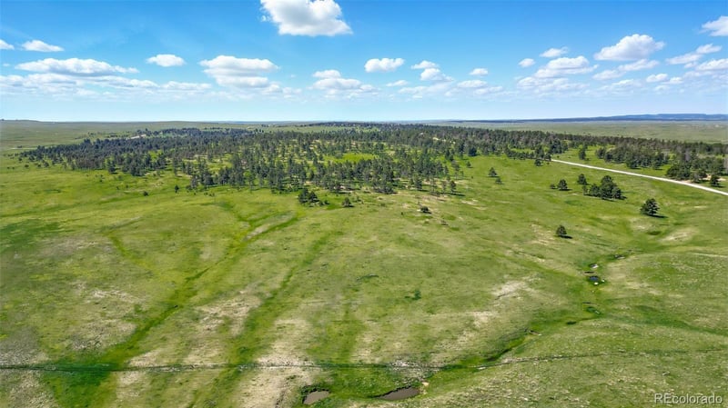 Parcel #4 County Road 91 Lot 4, Ramah, CO 80832