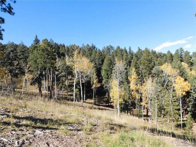 13886 Boulder Ln, Larkspur, CO 80118