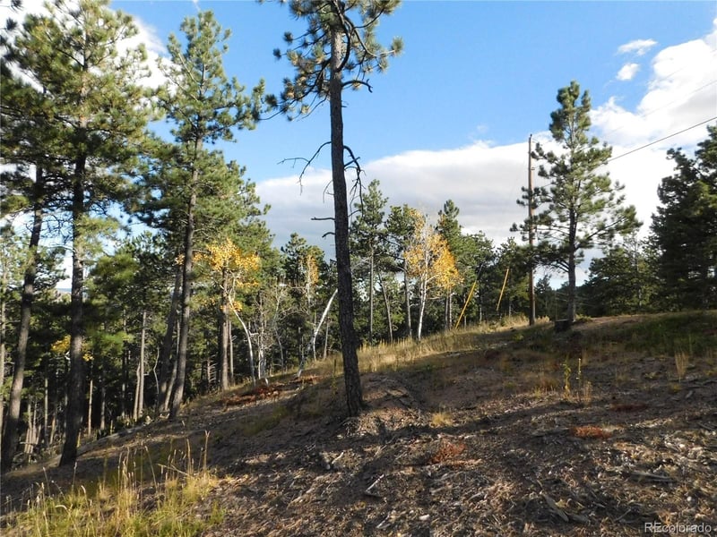 13910 Boulder Ln, Larkspur, CO 80118