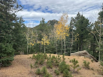 316 Summit Rg, Manitou Springs, CO 80829