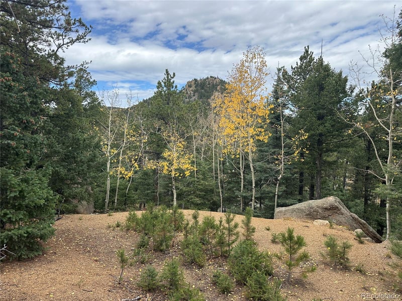 316 Summit Rg, Manitou Springs, CO 80829