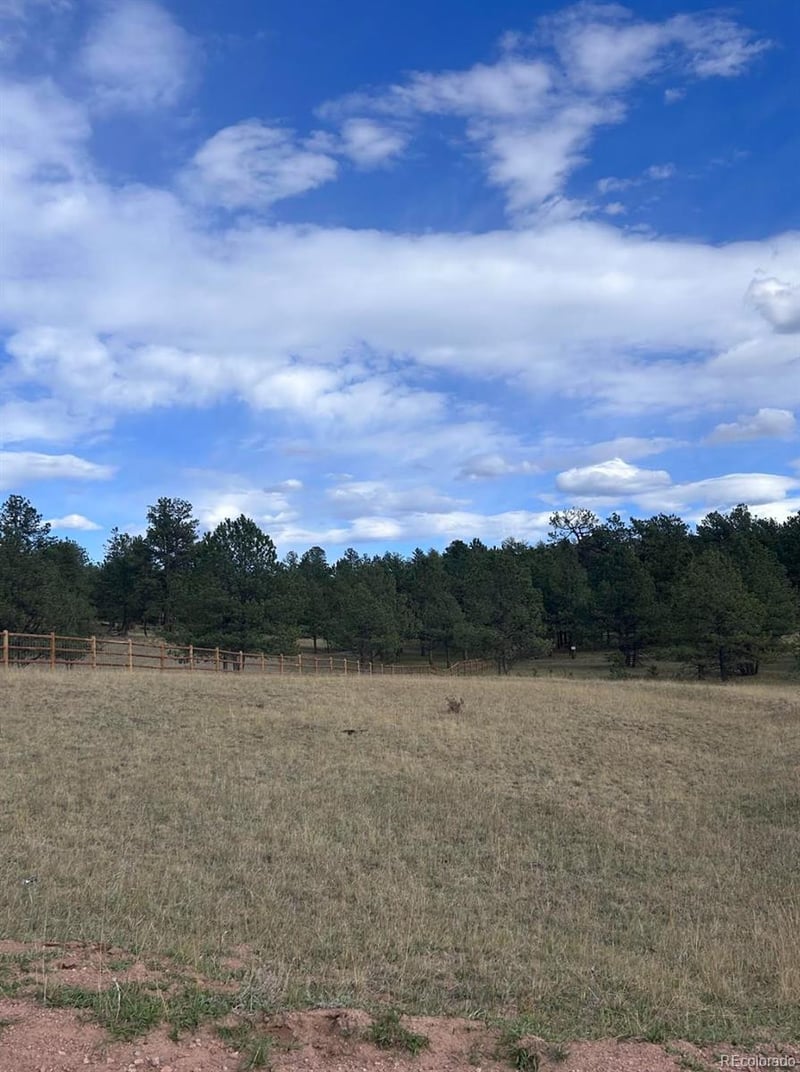 382 Arrowhead Dr, Florissant, CO 80816