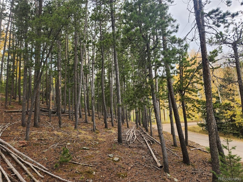 7041 Brook Forest Dr, Evergreen, CO 80439