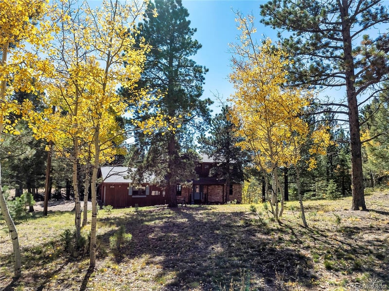 356 Spring Valley Dr, Divide, CO 80814