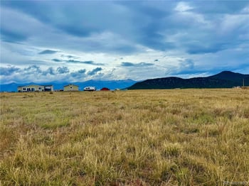 119 Fawn St, Westcliffe, CO 81252