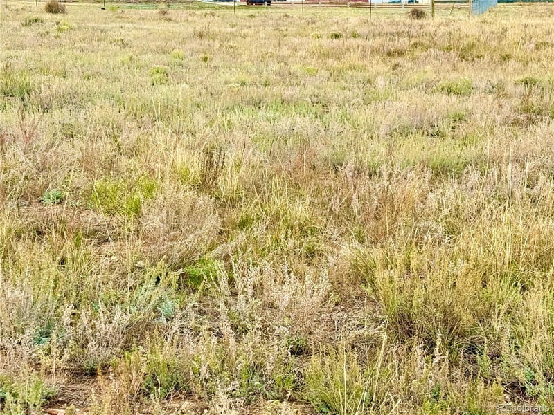 119 Fawn St, Westcliffe, CO 81252