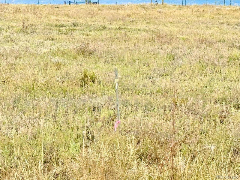 119 Fawn St, Westcliffe, CO 81252