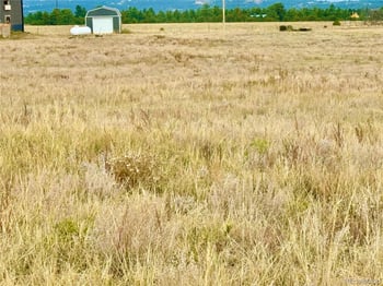 119 Fawn St, Westcliffe, CO 81252