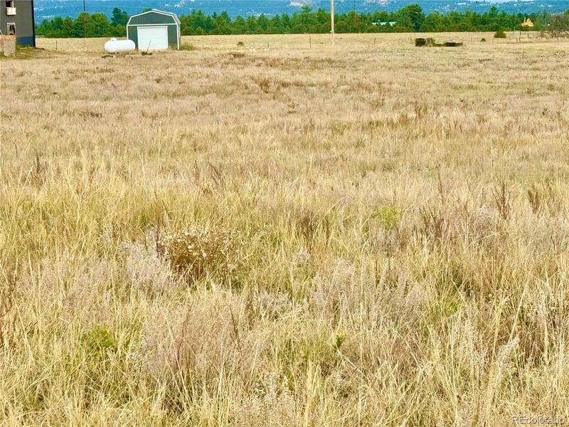135 Fawn St, Westcliffe, CO 81252