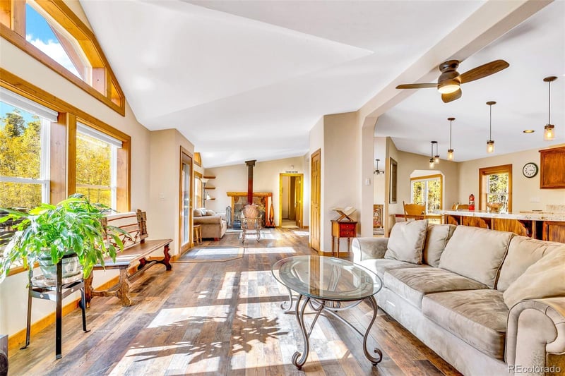 133 Foxtail Ct, Fairplay, CO 80440