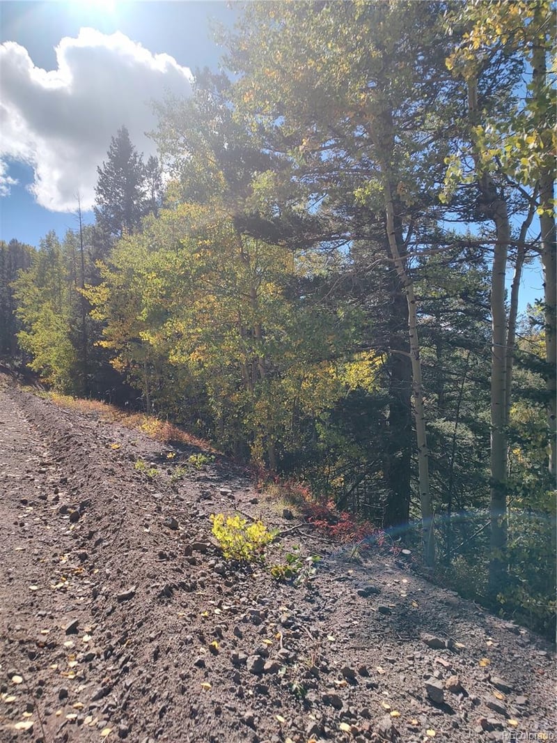 Lot 5374 , Fort Garland, CO 81133