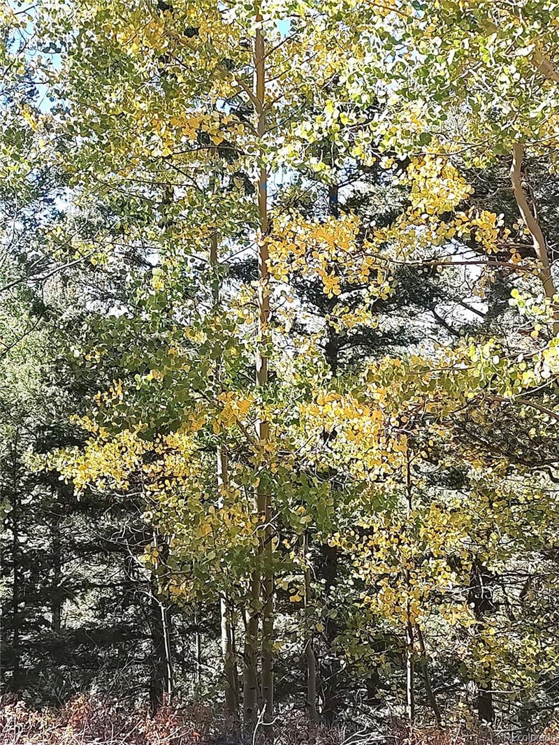 Lot 5374 , Fort Garland, CO 81133