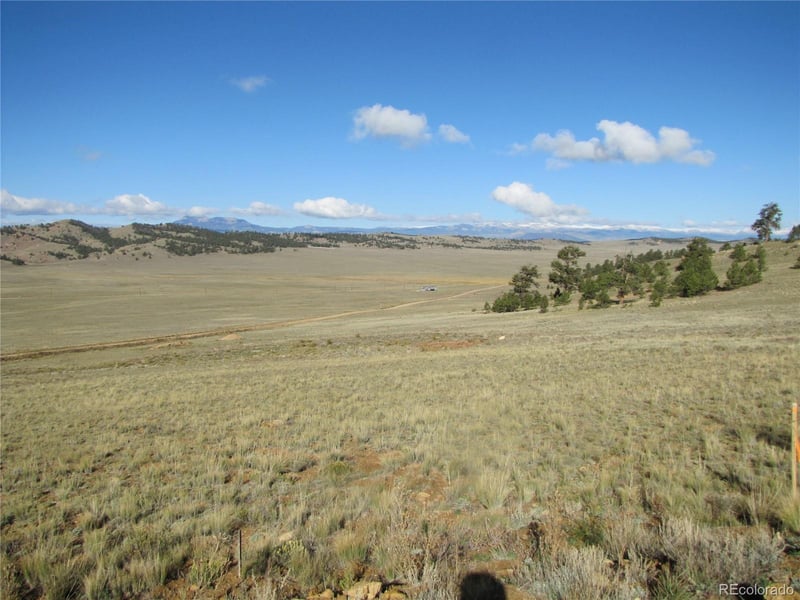 533 Cohonina Rd, Hartsel, CO 80449