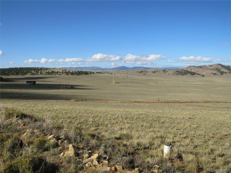 533 Cohonina Rd, Hartsel, CO 80449