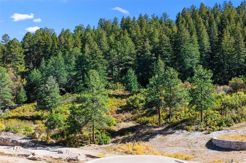 1095 Golf Estates Point Lot 13, Castle Rock, CO 80108
