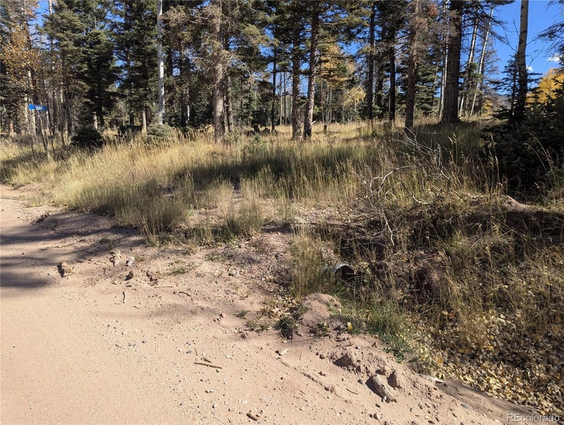 2448 Petito Dr, Fort Garland, CO 81133