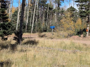 2448 Petito Dr, Fort Garland, CO 81133