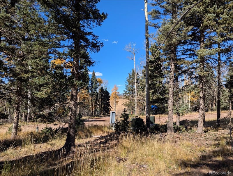 2448 Petito Dr, Fort Garland, CO 81133