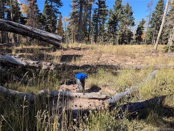 2448 Petito Dr, Fort Garland, CO 81133