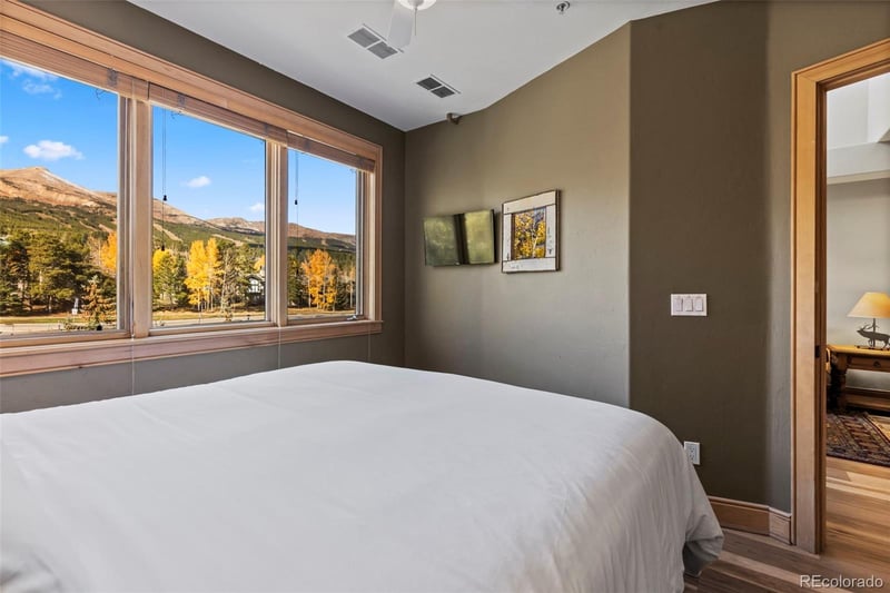 500 S Park Ave #302, Breckenridge, CO 80424