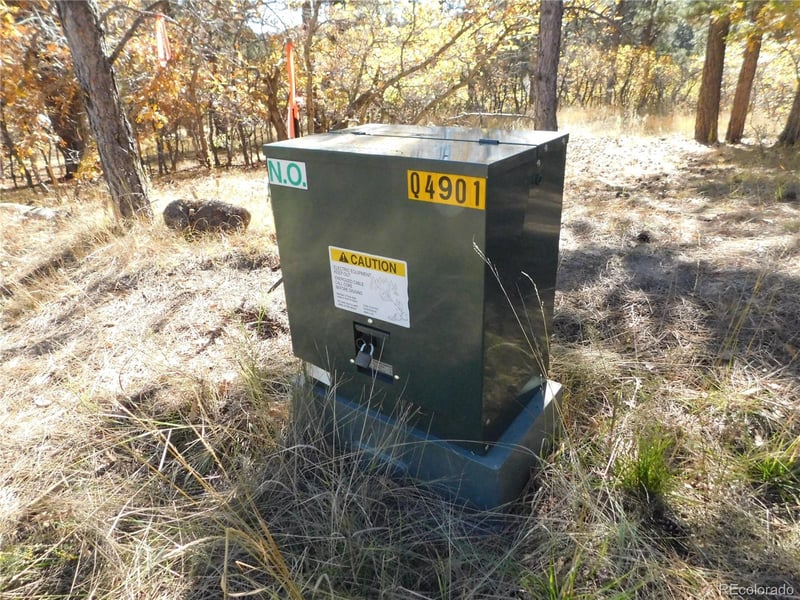 682 Copper Fox Pl, Larkspur, CO 80118