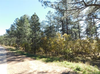 682 Copper Fox Pl, Larkspur, CO 80118