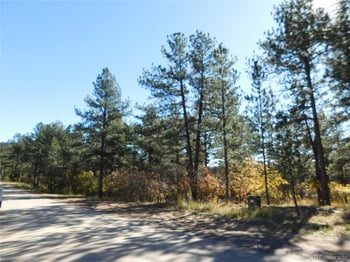 682 Copper Fox Pl, Larkspur, CO 80118