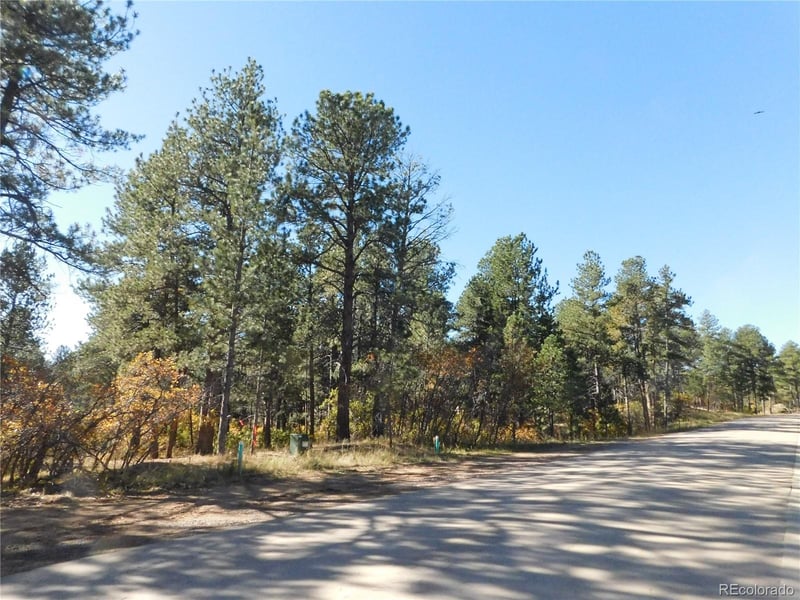 720 Copper Fox Pl, Larkspur, CO 80118