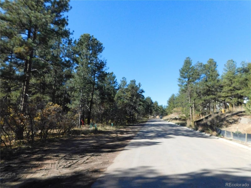 720 Copper Fox Pl, Larkspur, CO 80118
