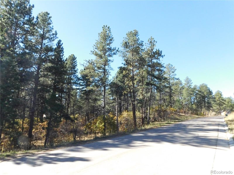 720 Copper Fox Pl, Larkspur, CO 80118