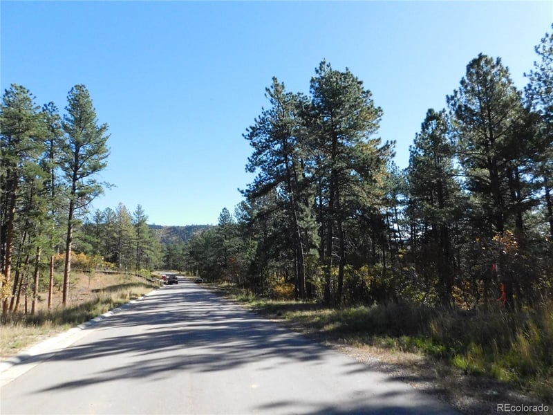 720 Copper Fox Pl, Larkspur, CO 80118