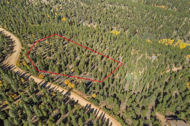 1001 Royal Ridge Dr, Bailey, CO 80421
