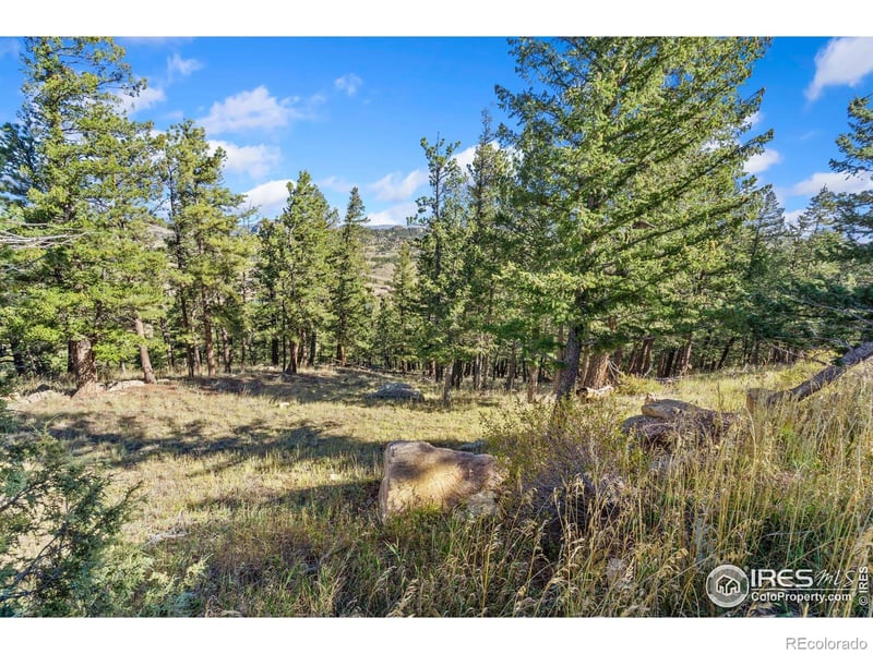 90 Sunlight Cir, Livermore, CO 80536