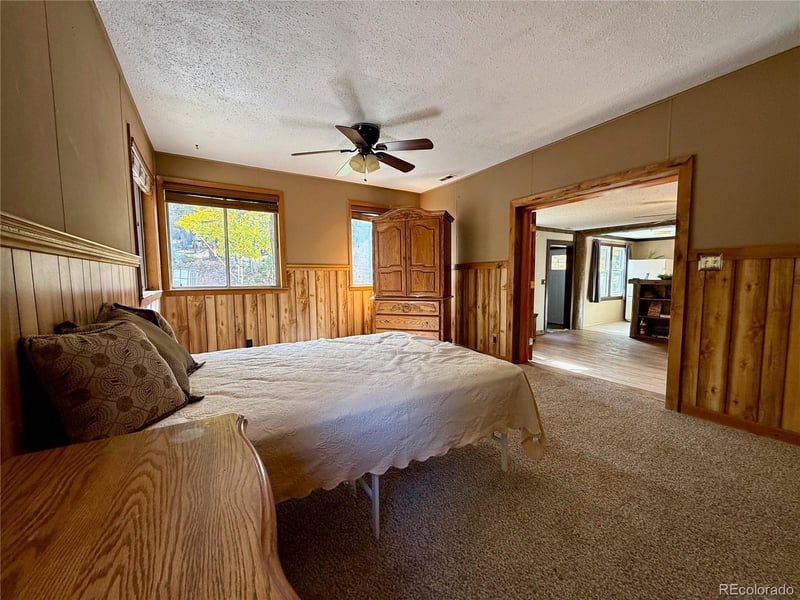 753 Will Stutley Dr, Divide, CO 80814