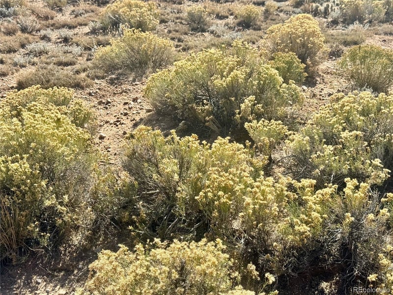 lot 3 9th St, Blanca, CO 81123