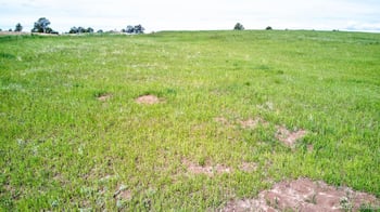 11856 Flap Jack Ln, Colorado Springs, CO 80908