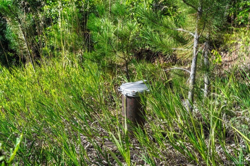 00 Columbine Rd, Larkspur, CO 80118