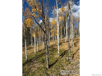 85 Remwood Cir, Divide, CO 80814