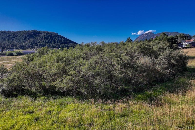 15989 Perry Park Rd, Larkspur, CO 80118