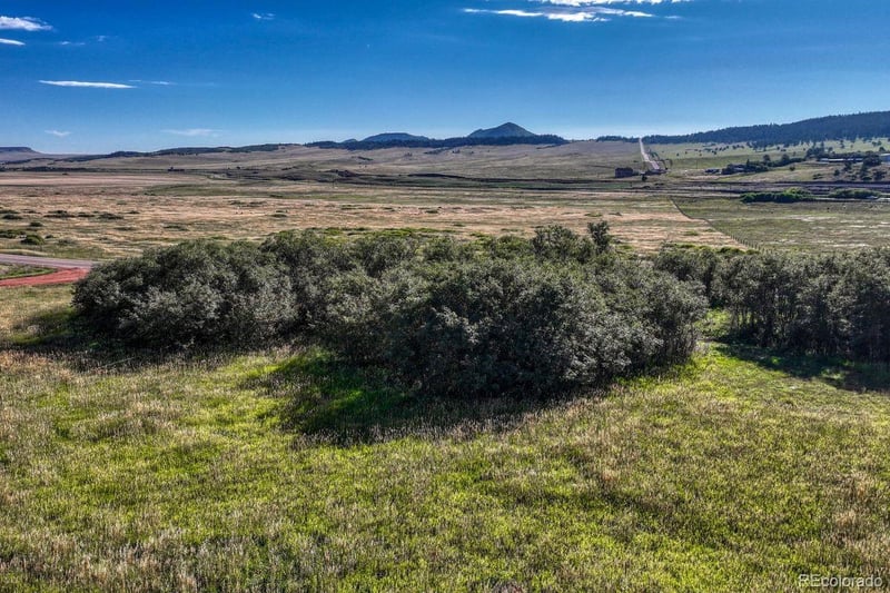 15989 Perry Park Rd, Larkspur, CO 80118
