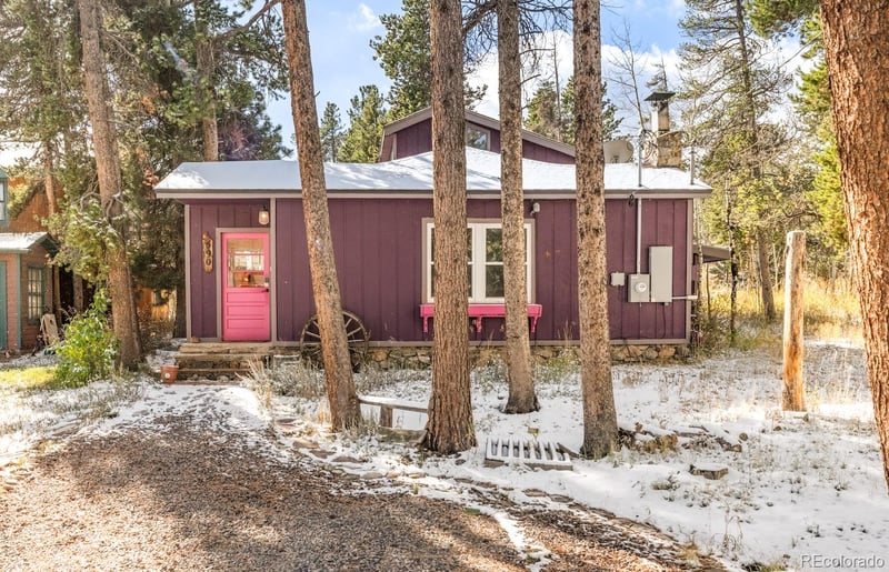 590 W Pine St, Nederland, CO 80466