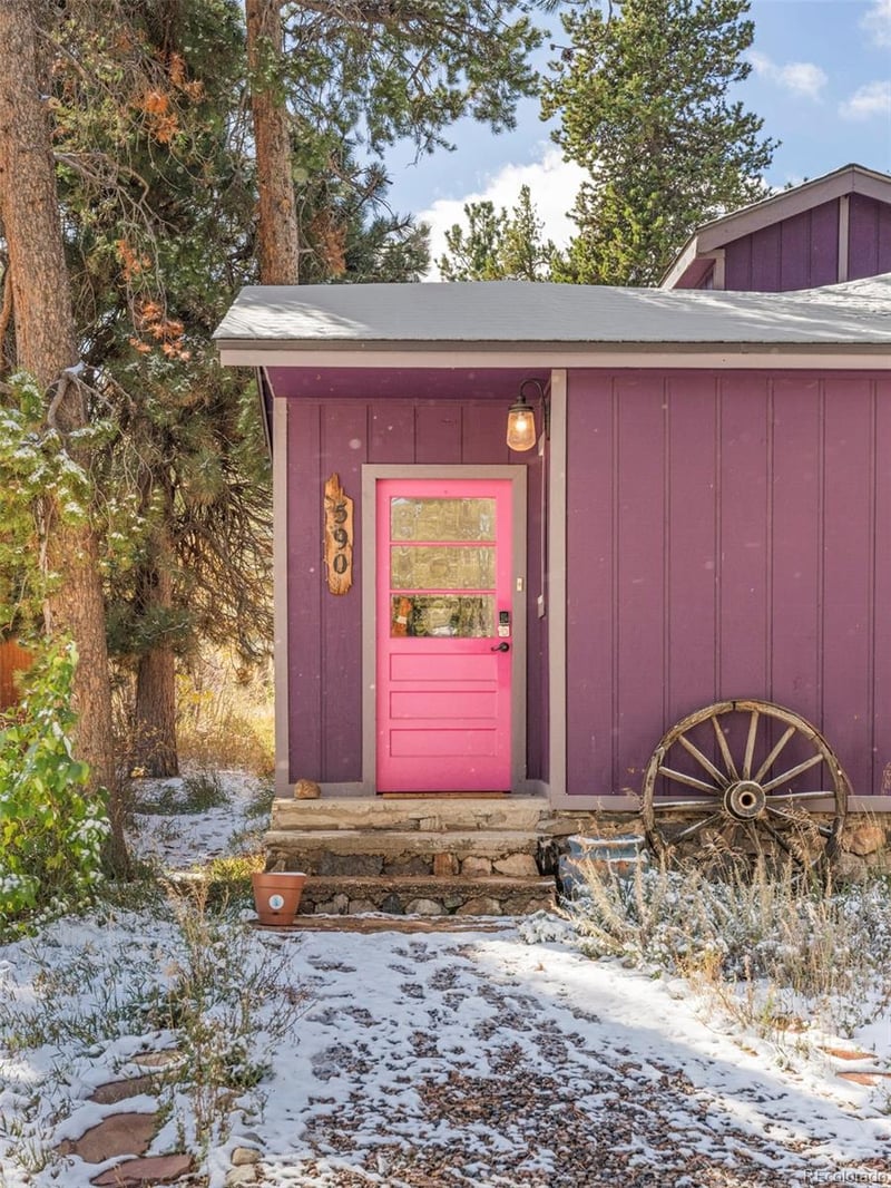 590 W Pine St, Nederland, CO 80466