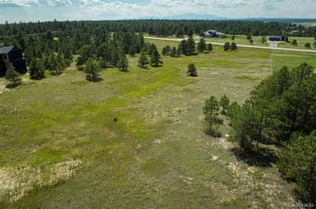 11556 Bison Meadows Ct, Colorado Springs, CO 80908