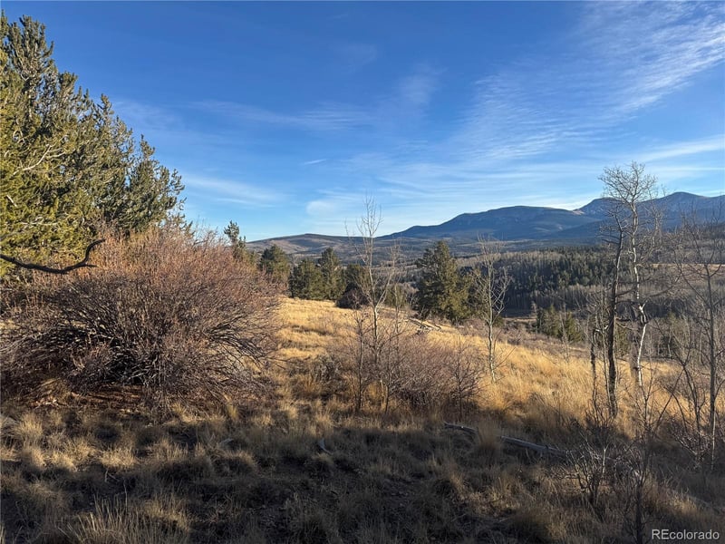 84 Pine Ridge Rd, Fairplay, CO 80440