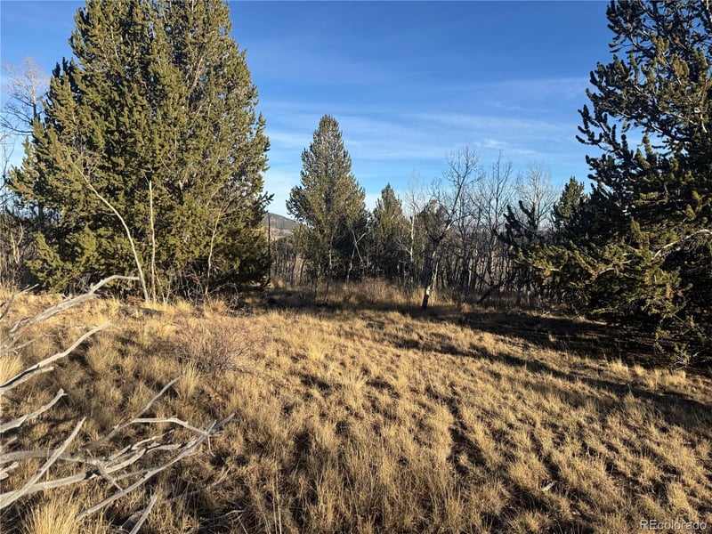 84 Pine Ridge Rd, Fairplay, CO 80440