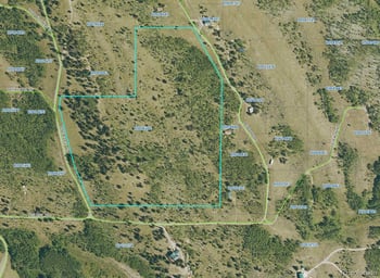 84 Pine Ridge Rd, Fairplay, CO 80440