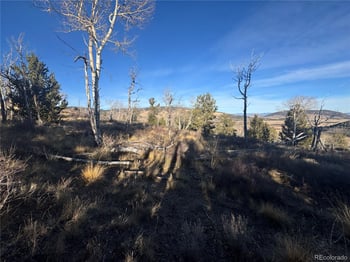 84 Pine Ridge Rd, Fairplay, CO 80440