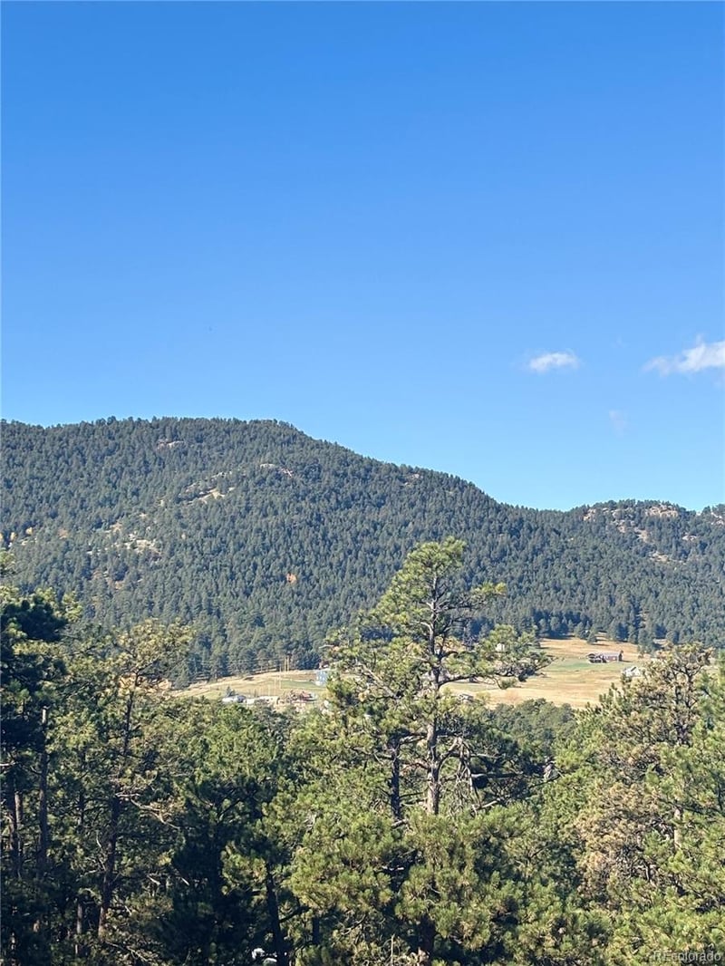 4374 Picutis Rd, Indian Hills, CO 80454