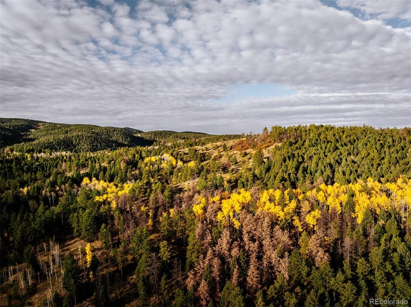 1342 Old Crystola Canyon Rd, Woodland Park, CO 80863